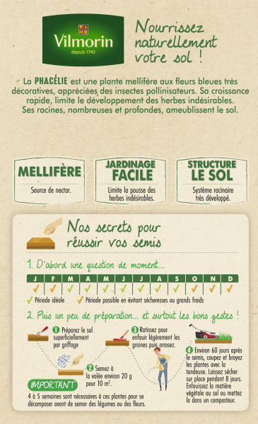 Engrais verts - Engrais vert Phacélie - BIO - Grand Modèle - MEDIA_PACKAGING_VERSO